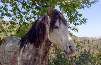 Similar image 21456052