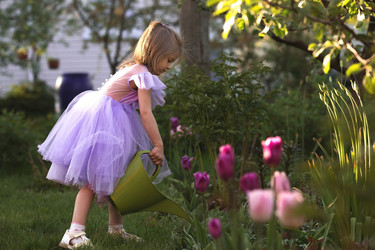 Similar image 21463546