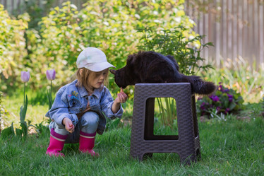 Similar image 21463557