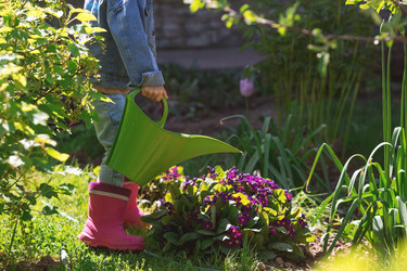 Similar image 21463561