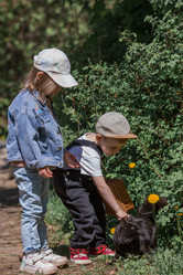 Similar image 21463581