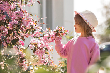 Similar image 21463587