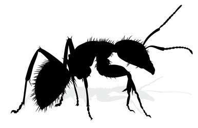 Similar image 21477203