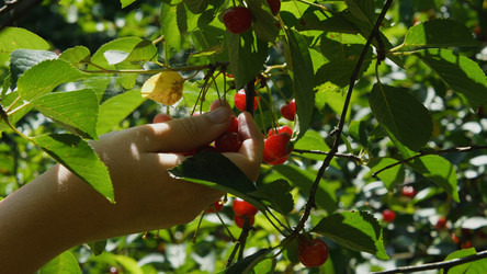 Similar image 21467241