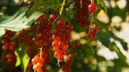 Similar image 21467243