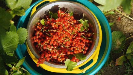 Similar image 21468461