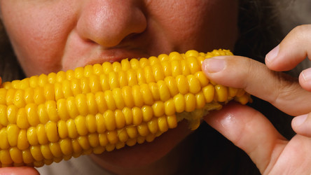 Similar image 21467244