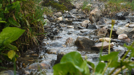 Similar image 21468465