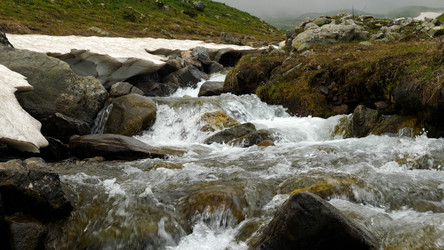 Similar image 21468466