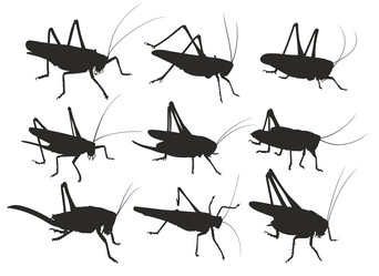 Similar image 21477247