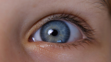 Similar image 21476931