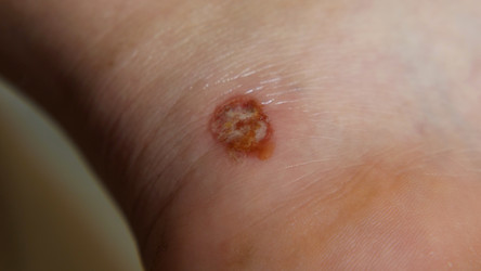 Similar image 21459492