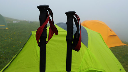 Similar image 21459694