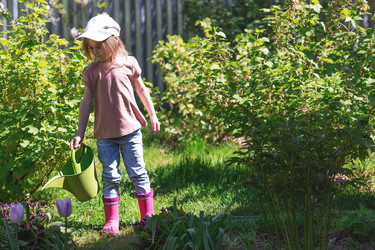 Similar image 21463639