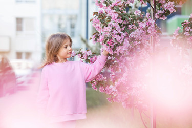 Similar image 21463642