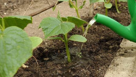 Similar image 21465185