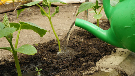 Similar image 21459701