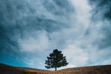 Similar image 21459496