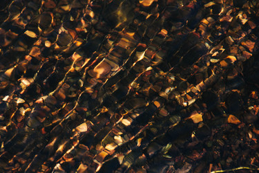 Similar image 21459497