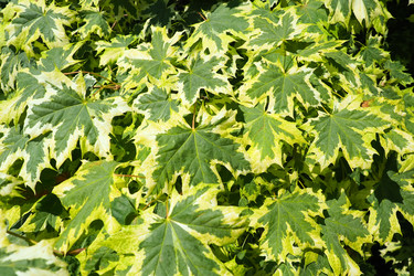 Similar image 21468944