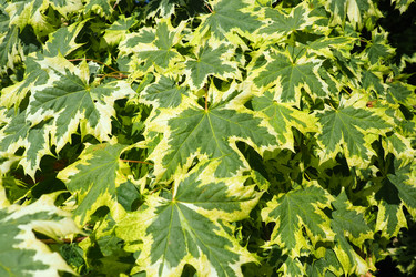 Similar image 21467254