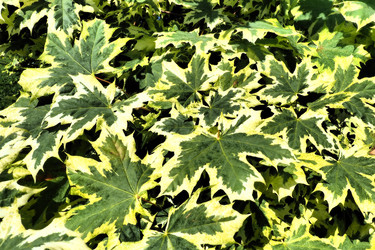 Similar image 21467255