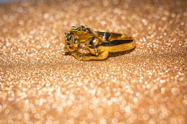 Similar image 21462759