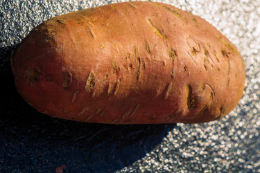 Similar image 21462760