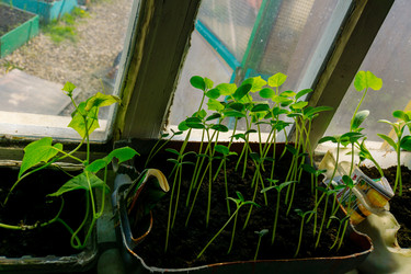 Similar image 21462781