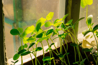 Similar image 21462782