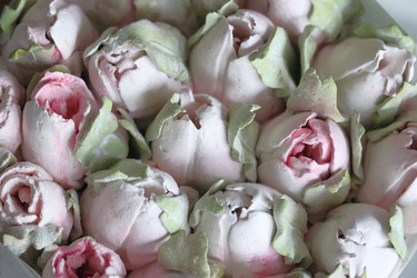 Similar image 21459498