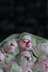 Similar image 21459502