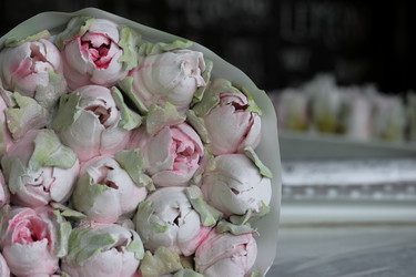 Similar image 21459503