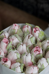 Similar image 21459512