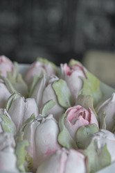 Similar image 21459519