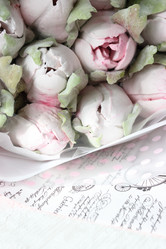 Similar image 21459524