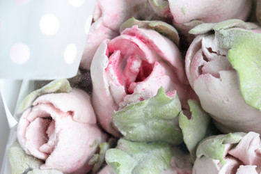 Similar image 21459530