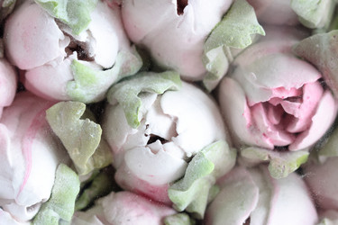 Similar image 21459532