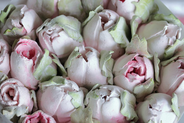 Similar image 21459538