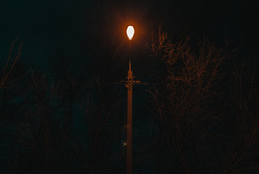 Similar image 21459539