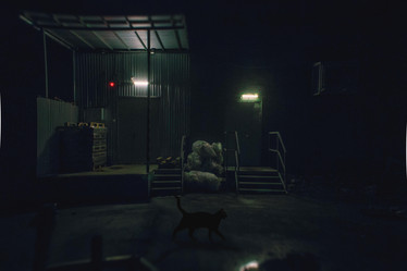 Similar image 21459540