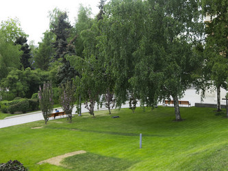 Similar image 21459551