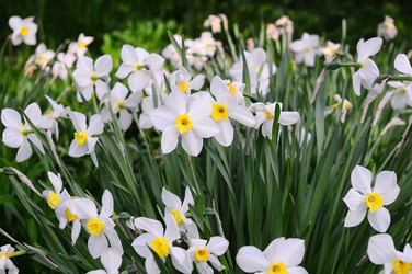 Similar image 21459433