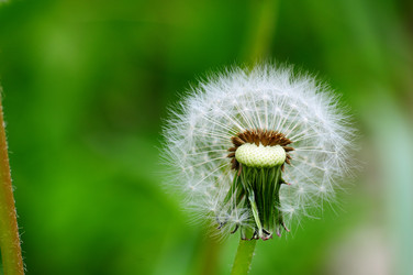 Similar image 21459434