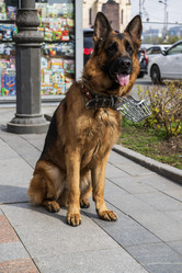 Similar image 21467257