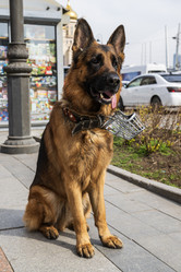 Similar image 21467258