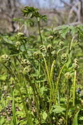 Similar image 21477528