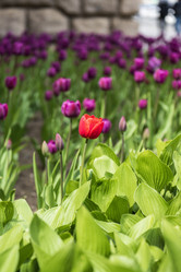 Similar image 21474756