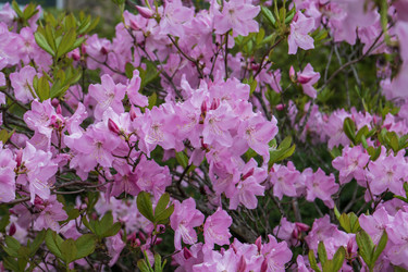 Similar image 21471533