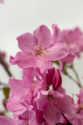 Similar image 21471534